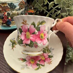 RARE FIND Vintage Royal Albert – Prairie Rose 1960’s